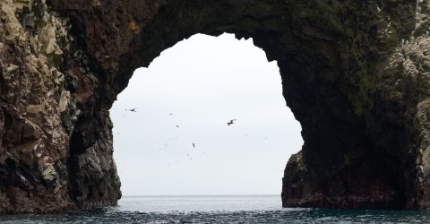 Landscape of arch in national park Isla Ballestas in Peru