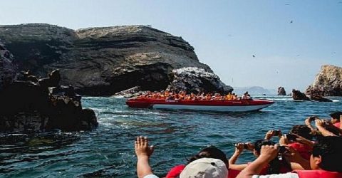 paracas3