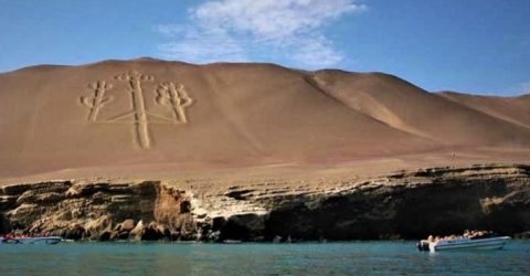 paracas5